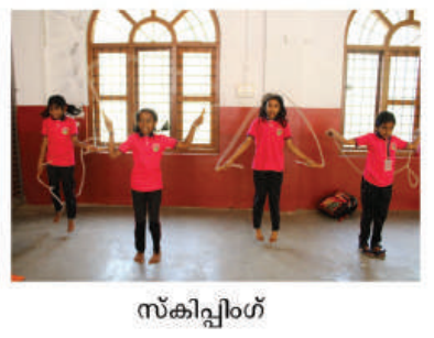 സ്കിപ്പിംഗ്